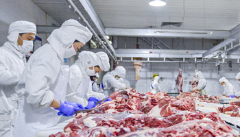 澳门十大电子游戏网址