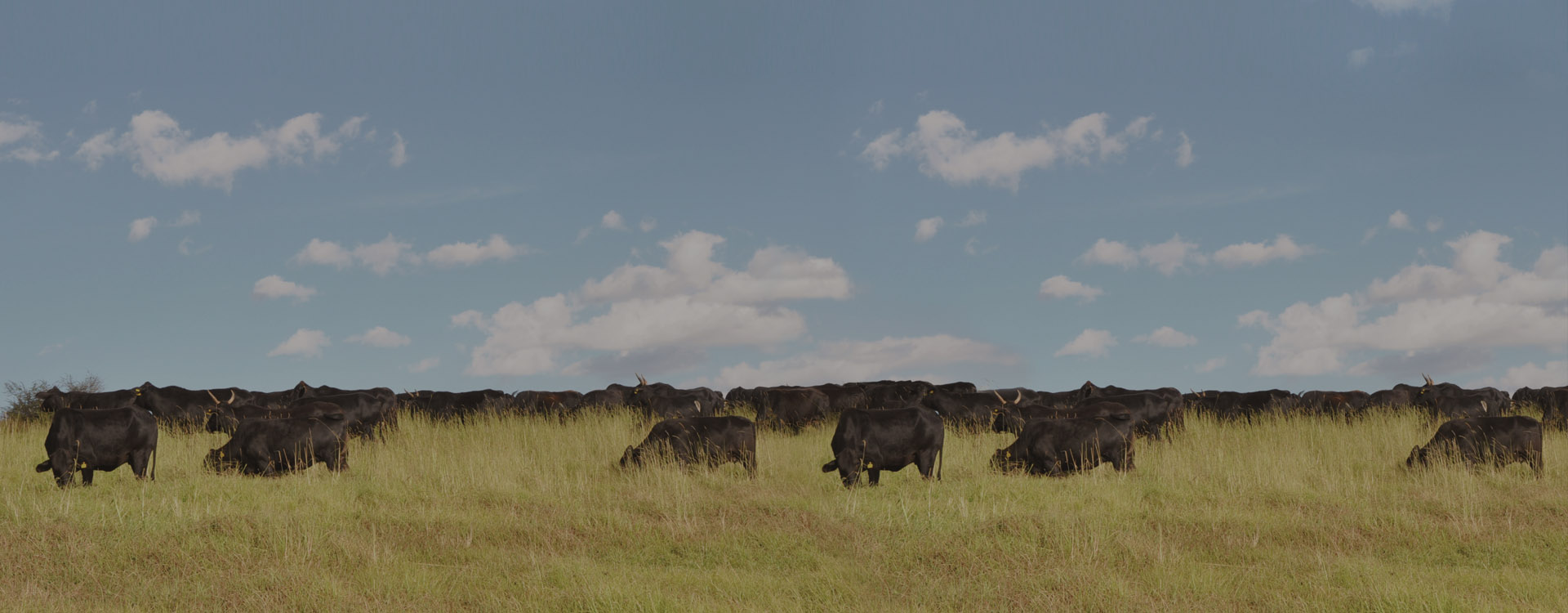 澳门十大电子游戏网址