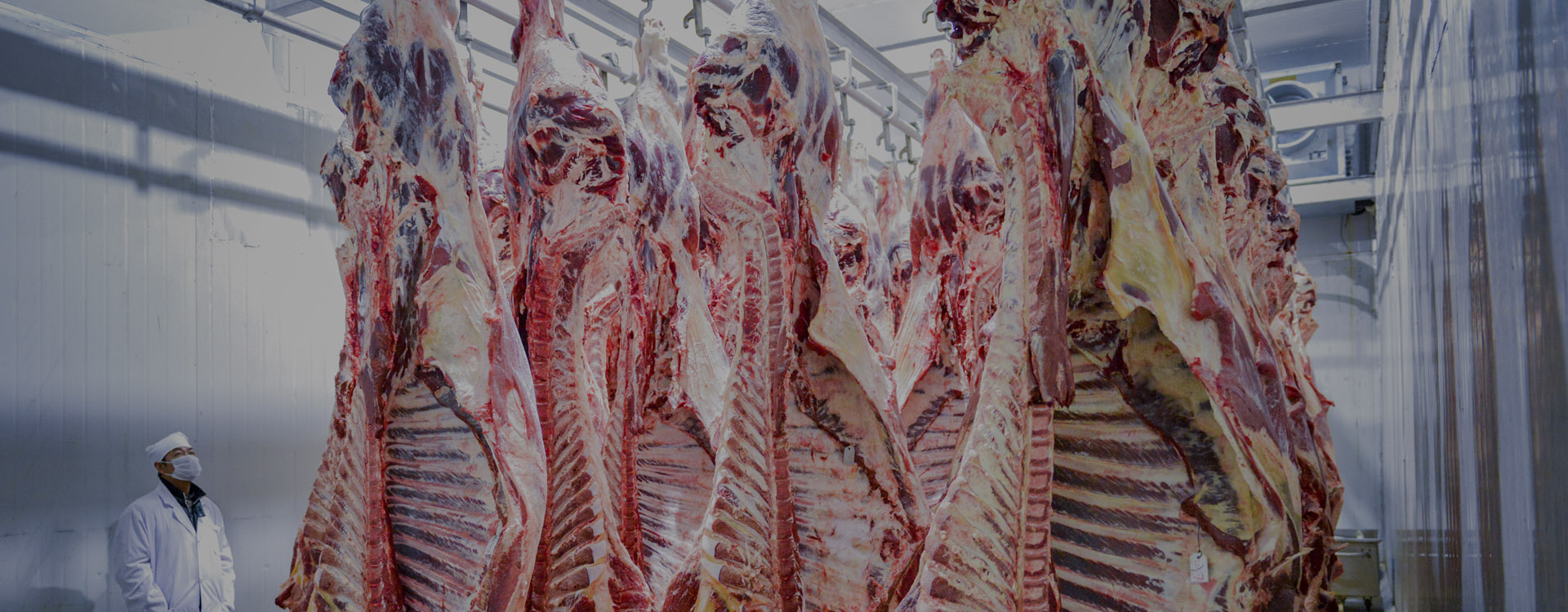 澳门十大电子游戏网址