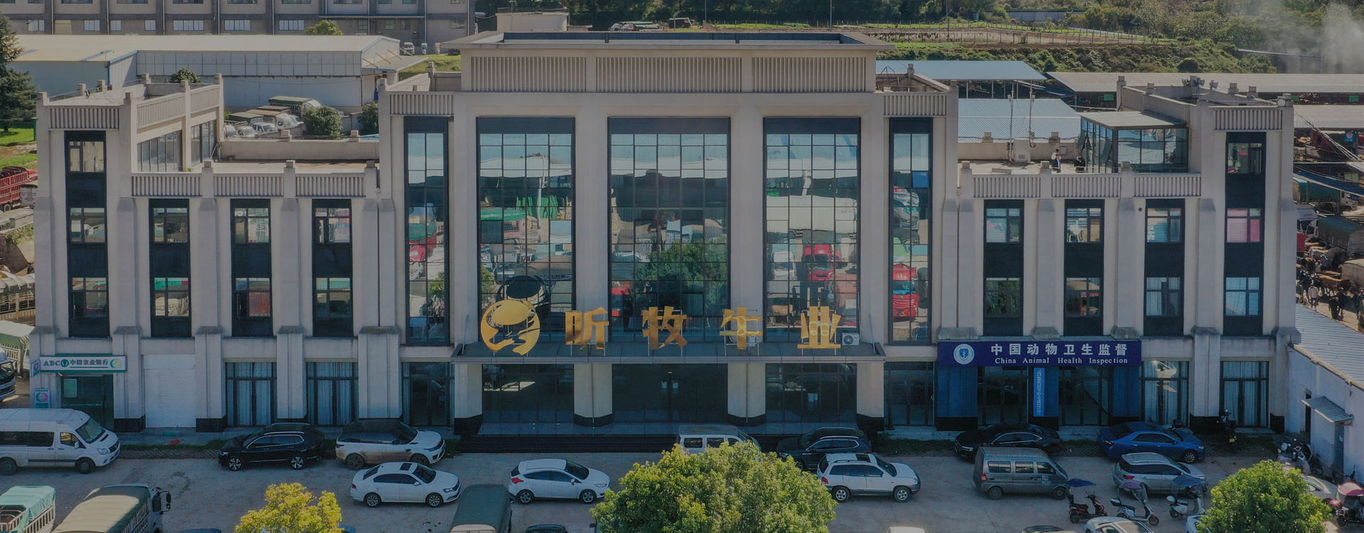 澳门十大电子游戏网址