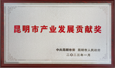 昆明市产业发展贡献奖