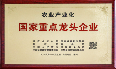 国家重点龙头企业