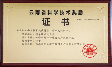 云南省科学技术奖励证书