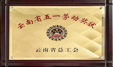 云南省五一劳动奖