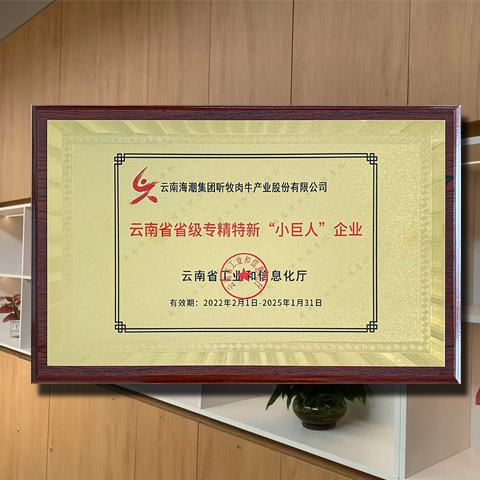 2022年2月1日，公司获得了云南省省级专精特新小巨人企业认证。专精特新小巨人企业是专注于细分市场、创新能力强、市场占有率高、掌握核心关键技术、质量效益优的排头
