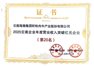 2025年收入破亿元证书